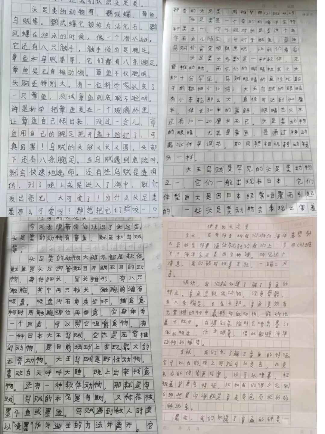 640.jpg 图片